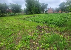 Продається земельна ділянка під забудову. фото 3 Продається земельна ділянка під забудову. фото 3