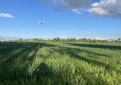 Продаж земельної ділянки під житлову забудову фото 3 Продаж земельної ділянки під житлову забудову фото 3