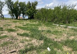 Продаж земельної ділянки під житлову забудову фото 6 Продаж земельної ділянки під житлову забудову фото 6