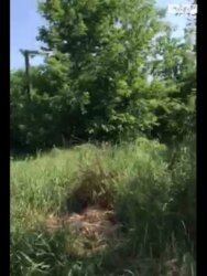 ������ �������� ������ �� ������� ��������, ����� 5.4 ����� ���� 2