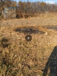 ��������� ������ ³�����, ³�������, ����������� ���� 10