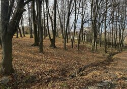 Продаж земельної ділянки під житлову забудову, площа 20 соток фото 4 Продаж земельної ділянки під житлову забудову, площа 20 соток фото 4