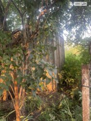 ��������� ������ ³�����, ³�������, ����������� ���� 4