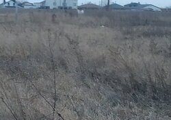 Продаж земельної ділянки під житлову забудову, площа 0.05 Га фото 12 Продаж земельної ділянки під житлову забудову, площа 0.05 Га фото 12