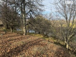 Продаж земельної ділянки під житлову забудову по вул. Чумацька, 111, площа 20 соток фото 2 Продаж земельної ділянки під житлову забудову по вул. Чумацька, 111, площа 20 соток фото 2