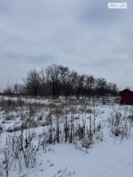 Продаж земельної ділянки під житлову забудову, площа 8 соток фото 4 Продаж земельної ділянки під житлову забудову, площа 8 соток фото 4
