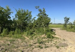 Продаж земельної ділянки під житлову забудову фото 6 Продаж земельної ділянки під житлову забудову фото 6