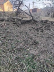 ��������� ������ ������������, ³�����, ³�������, ����������� ���� 4