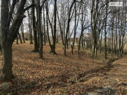 Продаж земельної ділянки під житлову забудову по вул. Чумацька, 111, площа 20 соток фото 4 Продаж земельної ділянки під житлову забудову по вул. Чумацька, 111, площа 20 соток фото 4