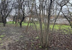 Продаж земельної ділянки під житлову забудову на провулку Депутатському. фото 7 Продаж земельної ділянки під житлову забудову на провулку Депутатському. фото 7