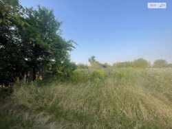 ��������� ������ ³�����, ³�������, ����������� ���� 8