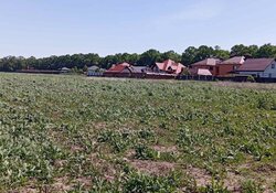 Продаж земельної ділянки під житлову забудову фото 1 Продаж земельної ділянки під житлову забудову фото 1