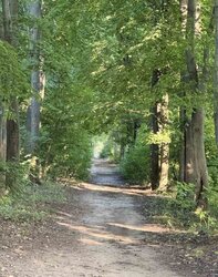 Продаж земельної ділянки під житлову забудову, площа 5 соток фото 8 Продаж земельної ділянки під житлову забудову, площа 5 соток фото 8