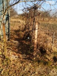 ��������� ������ ³�����, ³�������, ����������� ���� 9