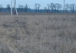 Продаж земельної ділянки під житлову забудову, площа 0.05 Га фото 10 Продаж земельної ділянки під житлову забудову, площа 0.05 Га фото 10
