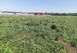 Продаж земельної ділянки під житлову забудову фото 6 Продаж земельної ділянки під житлову забудову фото 6