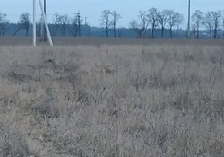 Продається ділянка в межах Вінниці, район Академічний. 1 км від ринку Сатурн. фото 10 Продається ділянка в межах Вінниці, район Академічний. 1 км від ринку Сатурн. фото 10