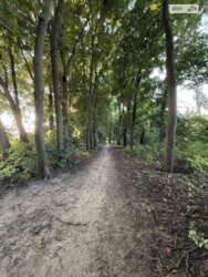 Продаж земельної ділянки під житлову забудову на вул. Верлана, площа 5 соток фото 9 Продаж земельної ділянки під житлову забудову на вул. Верлана, площа 5 соток фото 9