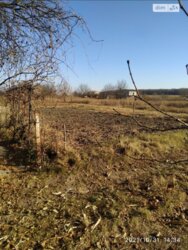 ��������� ������ ³�����, ³�������, ����������� ���� 14