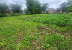 Продається земельна ділянка під забудову. фото 7 Продається земельна ділянка під забудову. фото 7