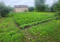 Продається земельна ділянка під забудову. фото 2 Продається земельна ділянка під забудову. фото 2