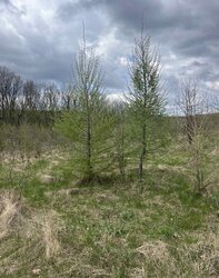 Продаж земельної ділянки під житлову забудову фото 4 Продаж земельної ділянки під житлову забудову фото 4