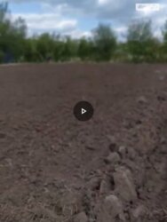 ��������� ������ ³�����, ³�������, ����������� ���� 11