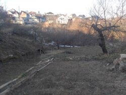 ��������� ������ ������������, ³�����, ³�������, ����������� ���� 8