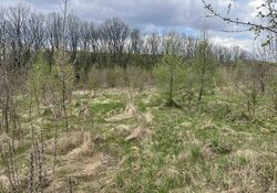 Продаж земельної ділянки під житлову забудову фото 2 Продаж земельної ділянки під житлову забудову фото 2