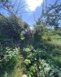 Продається ділянка Вінниця, Вінницька, Ленінський, Барське шосе фото 4 Продається ділянка Вінниця, Вінницька, Ленінський, Барське шосе фото 4