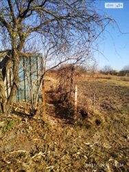 ��������� ������ ³�����, ³�������, ����������� ���� 13