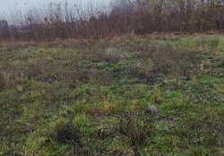 Продаж земельної ділянки під житлову забудову. Заїзд з Перемички, Агрономічного, 7го провулку Каденюка фото 1 Продаж земельної ділянки під житлову забудову. Заїзд з Перемички, Агрономічного, 7го провулку Каденюка фото 1