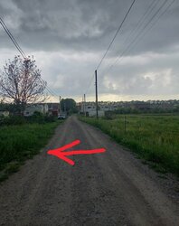 Продаж земельної ділянки сільськогосподарського призначення фото 3 Продаж земельної ділянки сільськогосподарського призначення фото 3