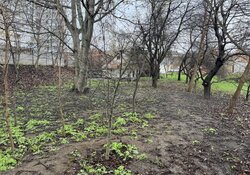 Продаж земельної ділянки під житлову забудову на провулку Депутатському. фото 8 Продаж земельної ділянки під житлову забудову на провулку Депутатському. фото 8