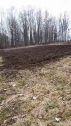 ������ ������� � �������� ���� 4