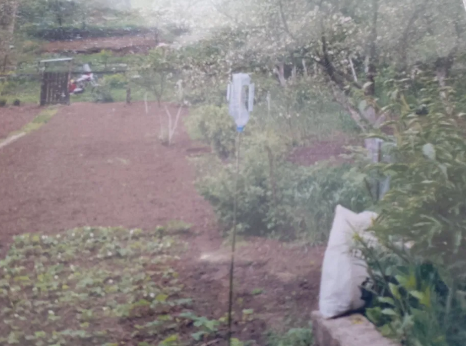 Продаж ділянки у Сухому Яру фото 1 Продаж ділянки у Сухому Яру фото 1