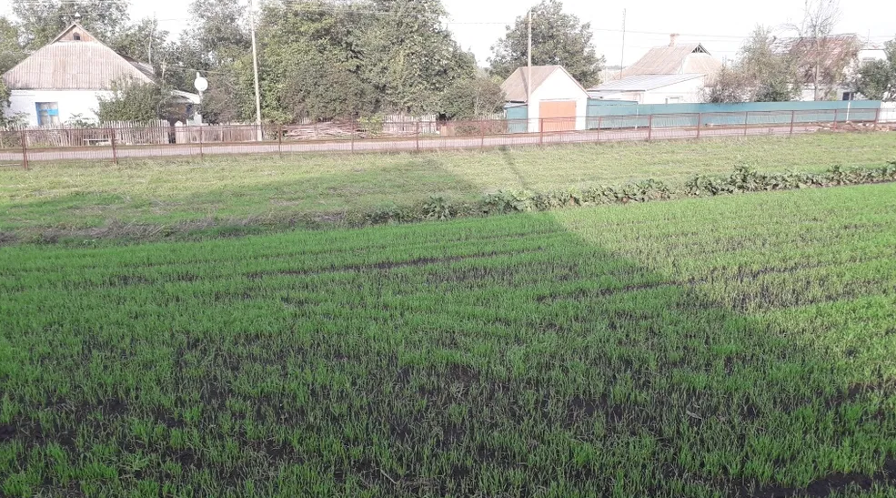 Продаж земельної ділянки фото 1 Продаж земельної ділянки фото 1