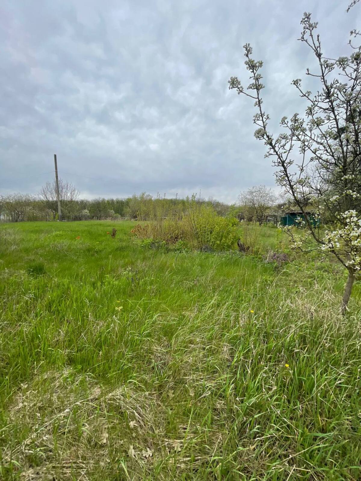 Продаж ділянки, Гайок фото 1 Продаж ділянки, Гайок фото 1