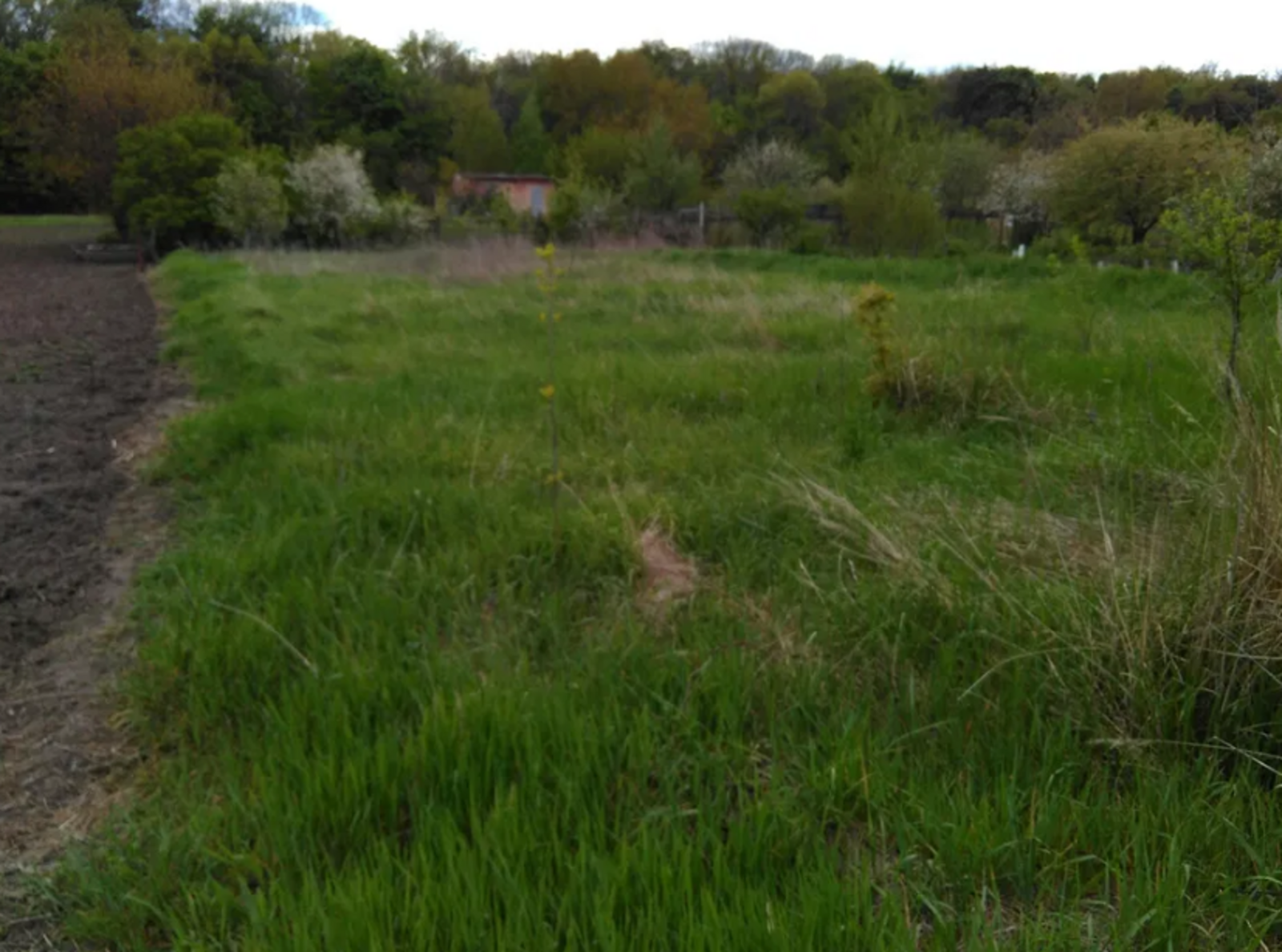 Продаж земельної ділянки, ст. Роток фото 1 Продаж земельної ділянки, ст. Роток фото 1