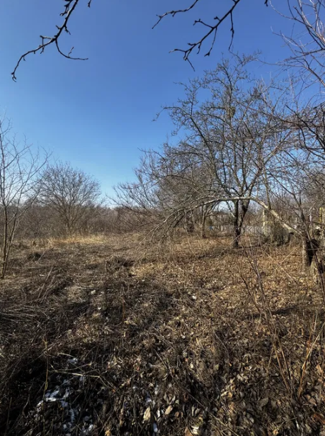 Продаж земельної ділянки, с.Мазепинці фото 1 Продаж земельної ділянки, с.Мазепинці фото 1