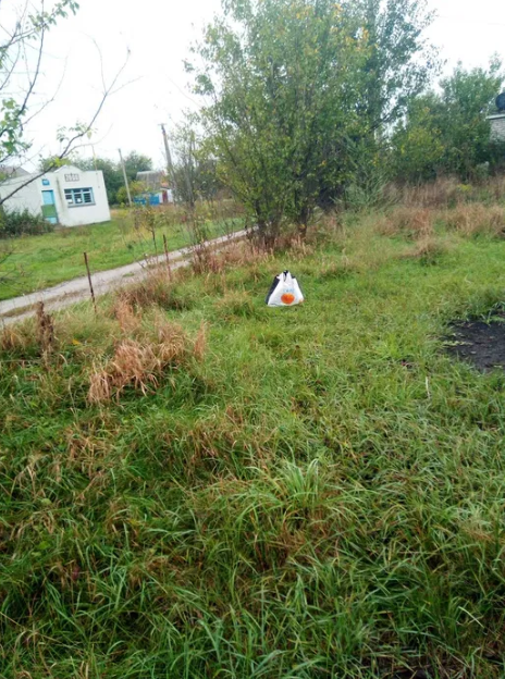 Продаж земельної ділянки, с. Чепеліївка фото 1 Продаж земельної ділянки, с. Чепеліївка фото 1