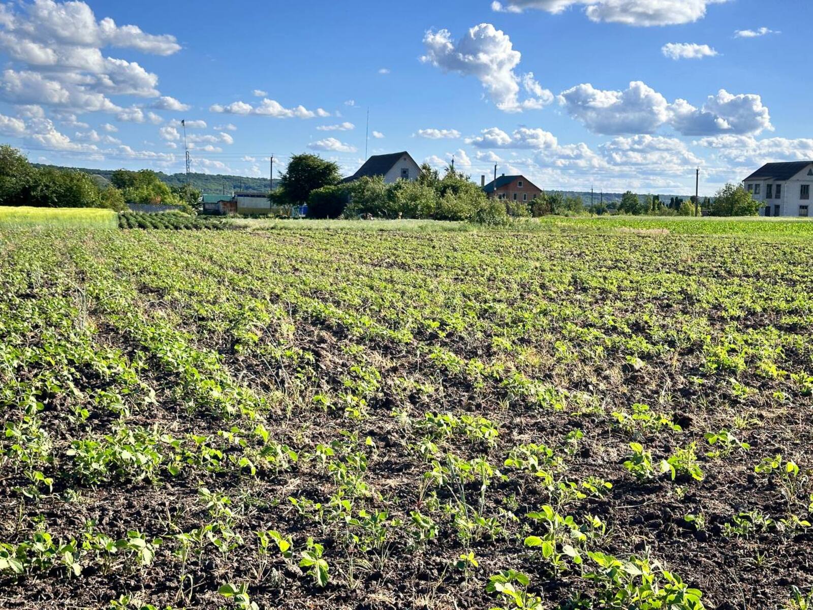 Продаж ділянки, с.Томилівка фото 1 Продаж ділянки, с.Томилівка фото 1