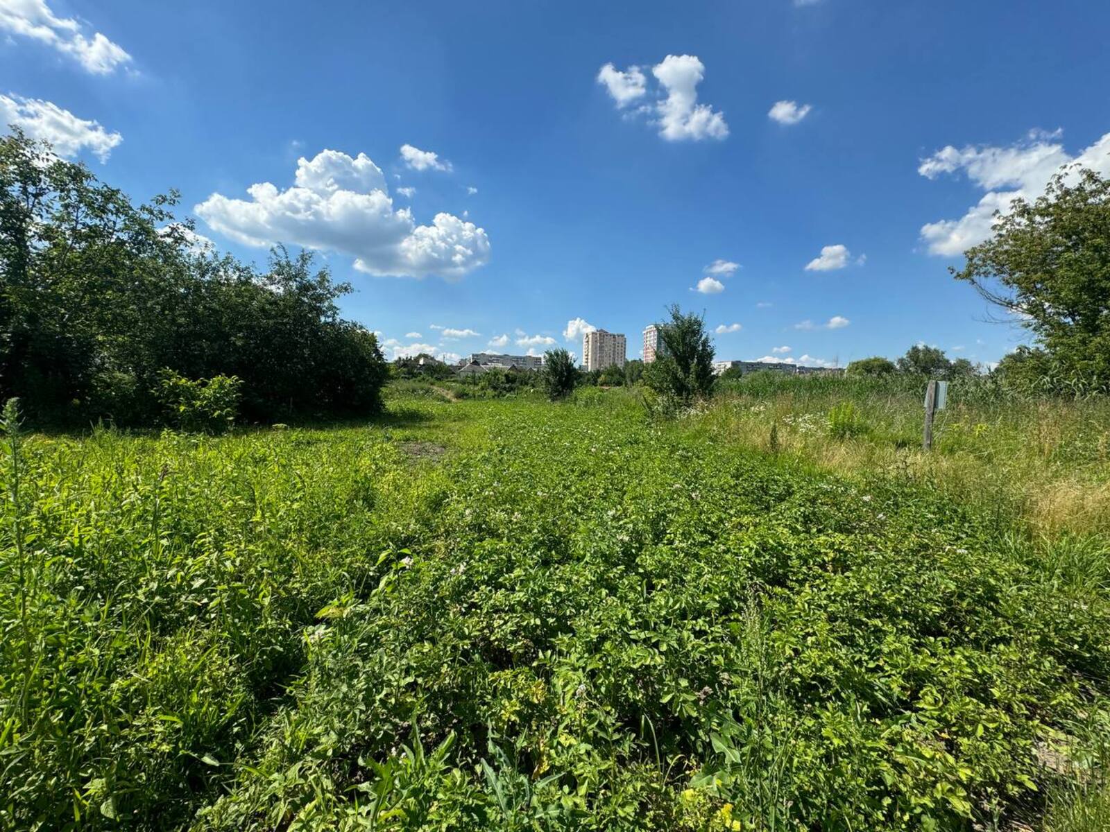 Продаж ділянки, Шевченка фото 1 Продаж ділянки, Шевченка фото 1