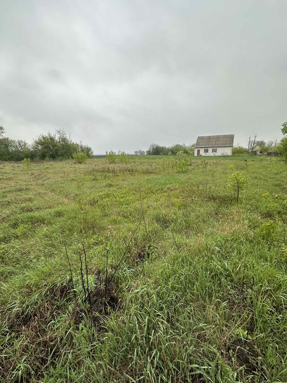 Продаж ділянки, с.Чепеліївка фото 1 Продаж ділянки, с.Чепеліївка фото 1