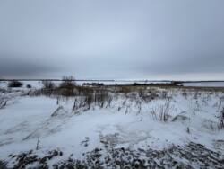 ������ �������� ������ ���� 3