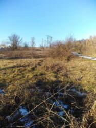 Продаж ділянки, с. Чепеліївка фото 2 Продаж ділянки, с. Чепеліївка фото 2