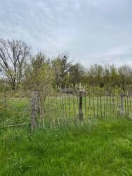 Продаж ділянки, Гайок фото 3 Продаж ділянки, Гайок фото 3