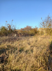 Продаж земельної ділянки, с. Чепеліївка фото 4 Продаж земельної ділянки, с. Чепеліївка фото 4