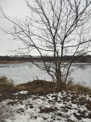 Продаж земельної ділянки, Шевченка фото 3 Продаж земельної ділянки, Шевченка фото 3