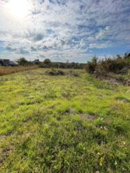 Продаж ділянки, с.Томилівка фото 3 Продаж ділянки, с.Томилівка фото 3